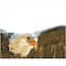 Diamond Dotz® Advanced Bald Eagle & Flag Diamond Painting Kit